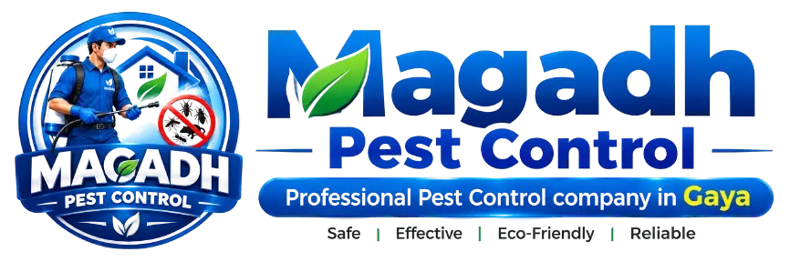 Magadh Pest Control in Gaya, Manpur, AP colony gaya, Bodh Gaya